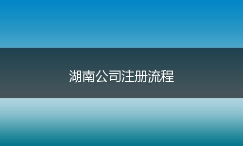 湖南公司注册流程