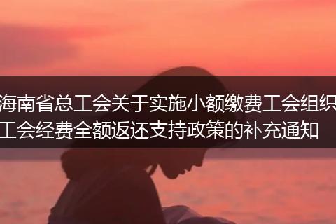海南省总工会关于实施小额缴费工会组织工会经费全额返还支持政策的补充通知