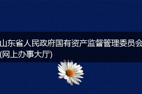 山东省人民政府国有资产监督管理委员会(网上办事大厅)