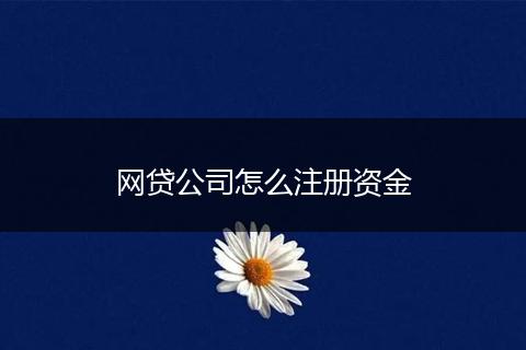 网贷公司怎么注册资金