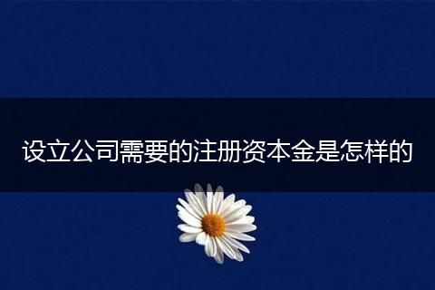 设立公司需要的注册资本金是怎样的