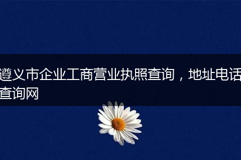 遵义市企业工商营业执照查询，地址电话查询网