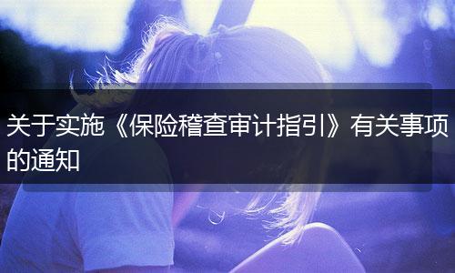 关于实施《保险稽查审计指引》有关事项的通知