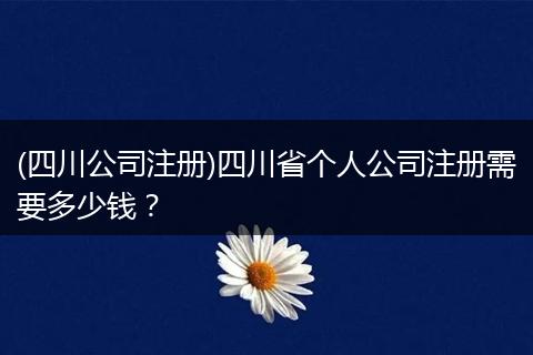 (四川公司注册)四川省个人公司注册需要多少钱？