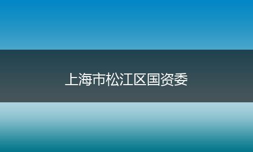 上海市松江区国资委