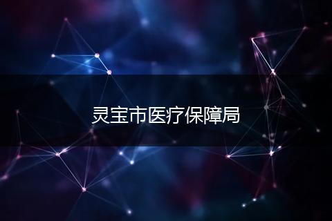 灵宝市医疗保障局