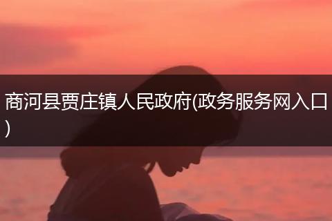 商河县贾庄镇人民政府(政务服务网入口)