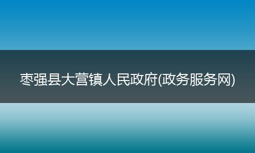 枣强县大营镇人民政府(政务服务网)