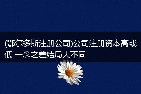 (鄂尔多斯注册公司)公司注册资本高或低 一念之差结局大不同