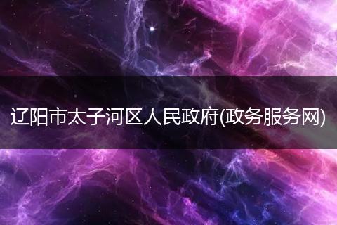 辽阳市太子河区人民政府(政务服务网)