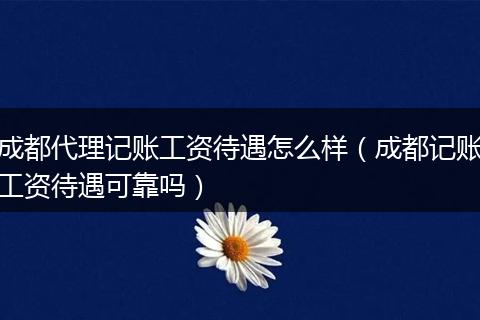 成都代理记账工资待遇怎么样(成都记账工资待遇可靠吗)