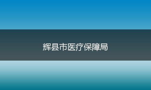 辉县市医疗保障局