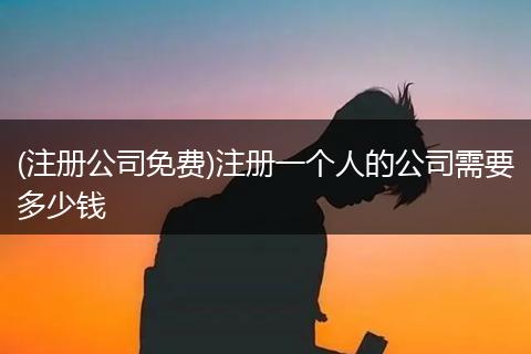 (注册公司免费)注册一个人的公司需要多少钱