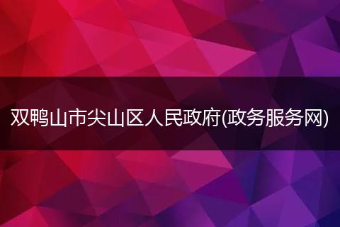 双鸭山市尖山区人民政府(政务服务网)