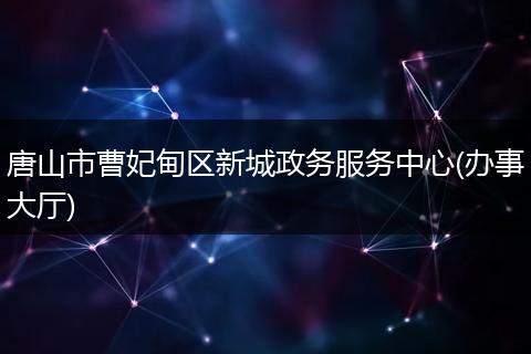唐山市曹妃甸区新城政务服务中心(办事大厅)