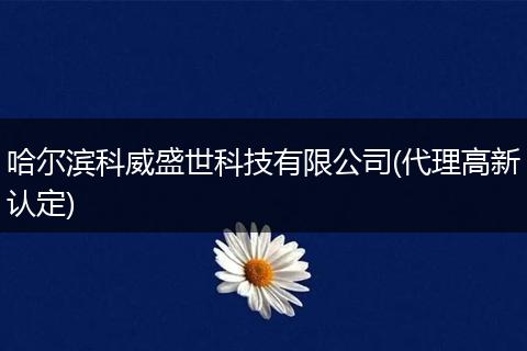 哈尔滨科威盛世科技有限公司(代理高新认定)