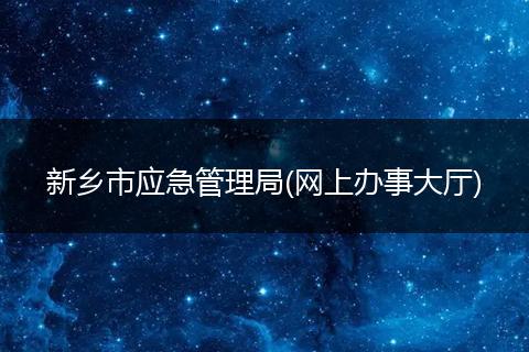 新乡市应急管理局(网上办事大厅)