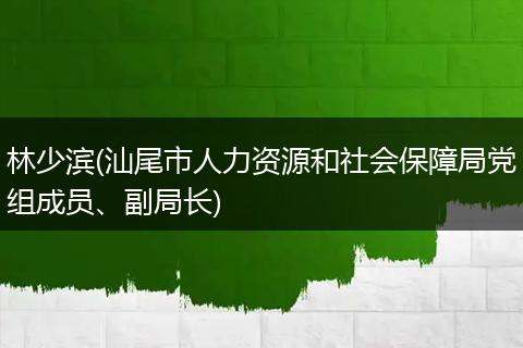 林少滨(汕尾市人力资源和社会保障局党组成员、副局长)