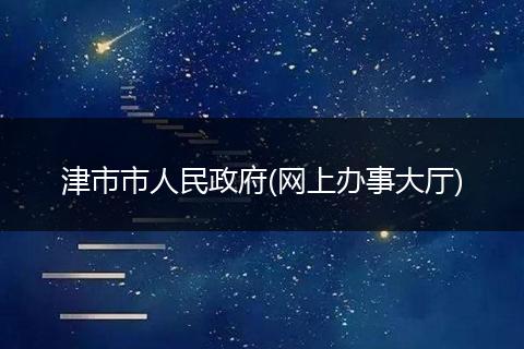 津市市人民政府(网上办事大厅)