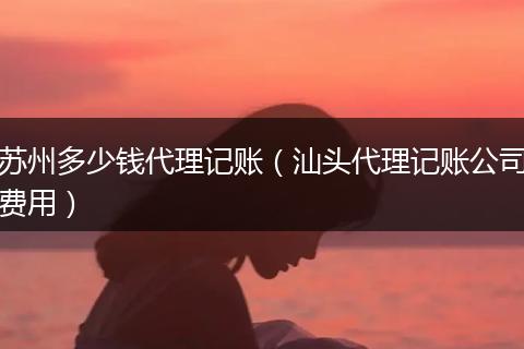 苏州多少钱代理记账(汕头代理记账公司费用)