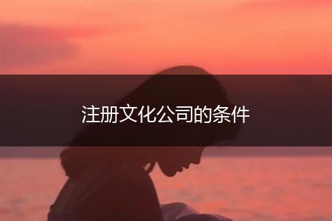 注册文化公司的条件