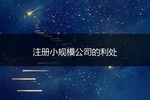 注册小规模公司的利处