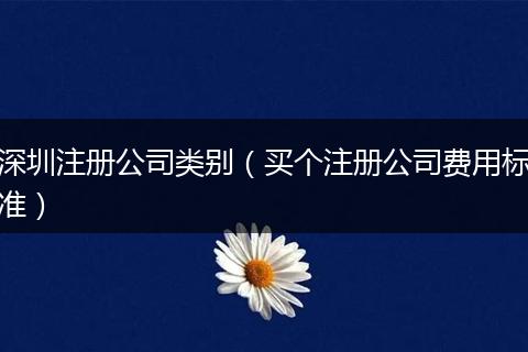 深圳注册公司类别(买个注册公司费用标准)