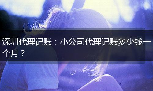 深圳代理记账：小公司代理记账多少钱一个月？