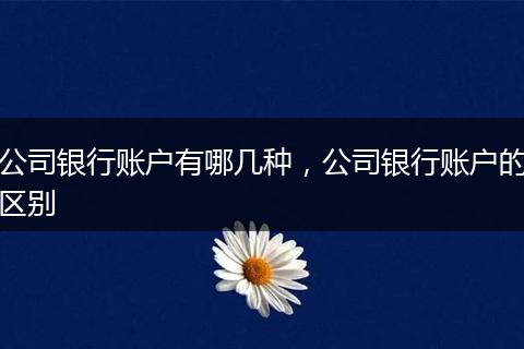 公司银行账户有哪几种，公司银行账户的区别