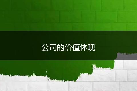 公司的价值体现