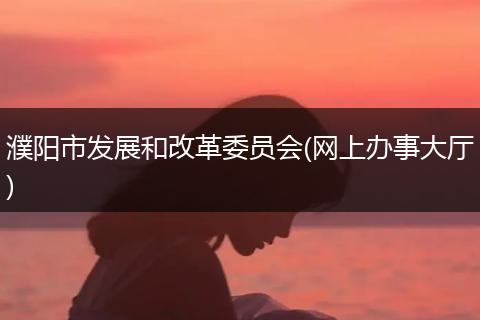 濮阳市发展和改革委员会(网上办事大厅)