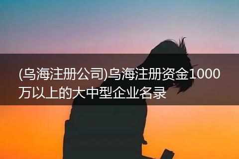 (乌海注册公司)乌海注册资金1000万以上的大中型企业名录