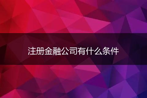 注册金融公司有什么条件