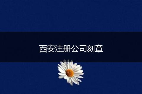 西安注册公司刻章