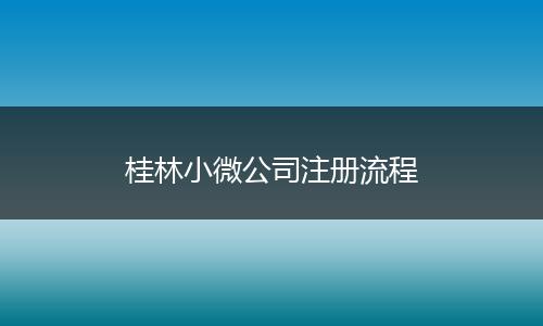 桂林小微公司注册流程