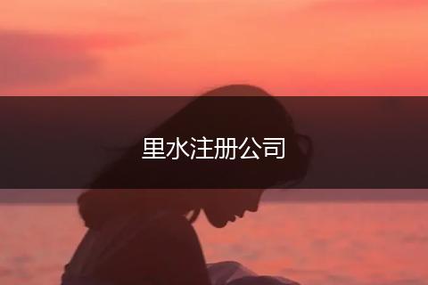 里水注册公司