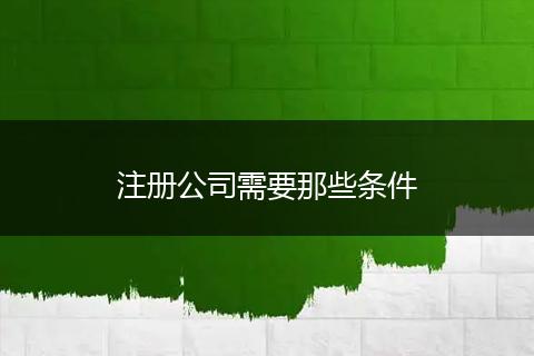 注册公司需要那些条件