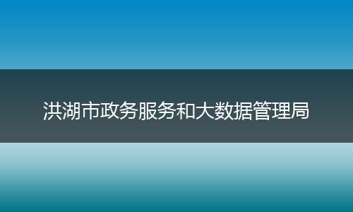 洪湖市政务服务和大数据管理局