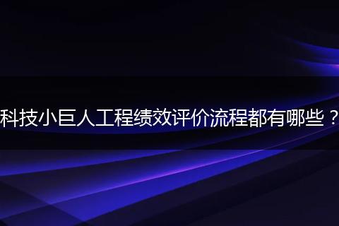 科技小巨人工程绩效评价流程都有哪些？