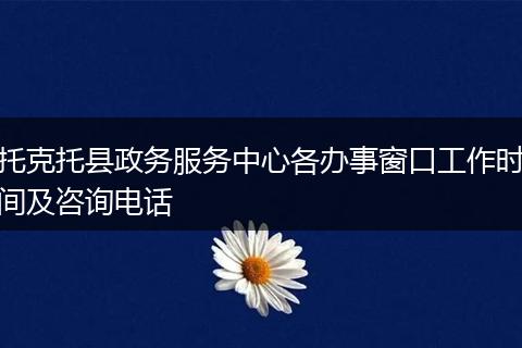 托克托县政务服务中心各办事窗口工作时间及咨询电话