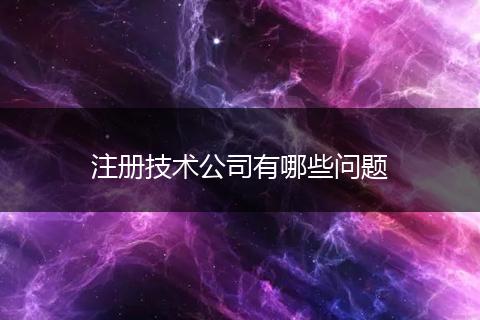 注册技术公司有哪些问题