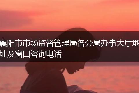 襄阳市市场监督管理局各分局办事大厅地址及窗口咨询电话