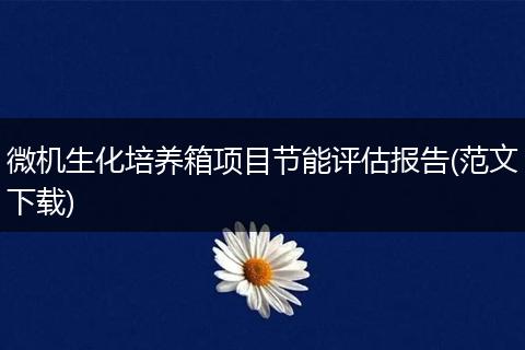 微机生化培养箱项目节能评估报告(范文下载)