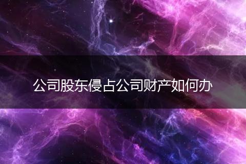 公司股东侵占公司财产如何办