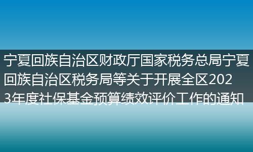 宁夏回族自治区财政厅国家税务总局宁夏回族自治区税务局等关于开展全区2023年度社保基金预算绩效评价工作的通知
