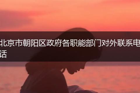 北京市朝阳区政府各职能部门对外联系电话