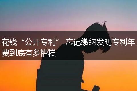 花钱“公开专利” 忘记缴纳发明专利年费到底有多糟糕