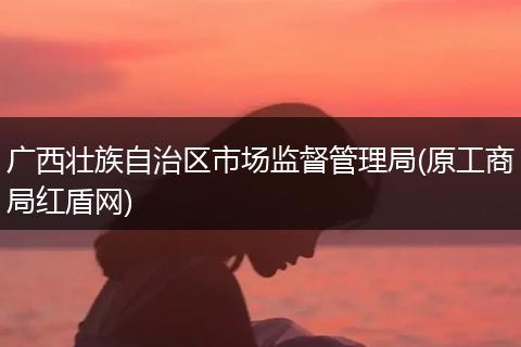 广西壮族自治区市场监督管理局(原工商局红盾网)