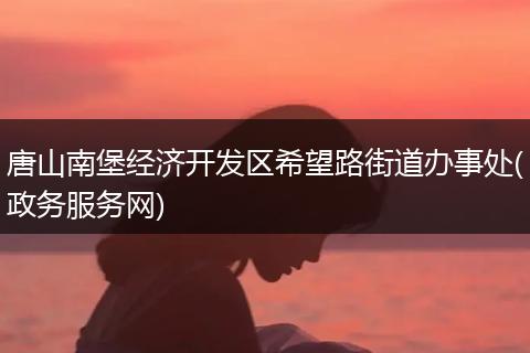 唐山南堡经济开发区希望路街道办事处(政务服务网)