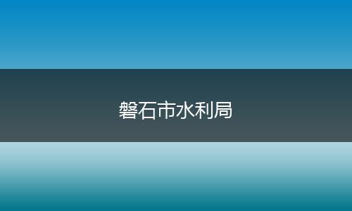 磐石市水利局